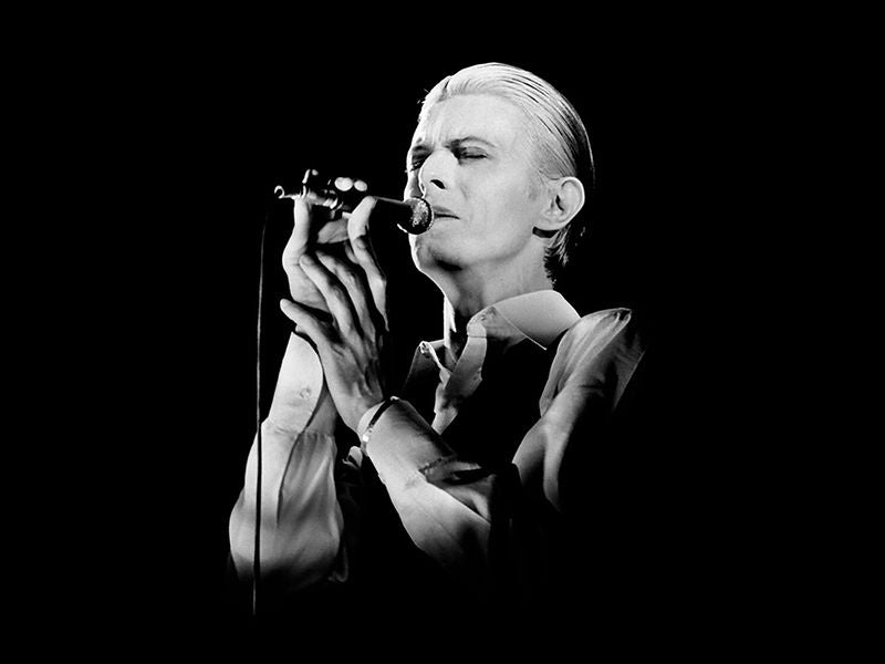 David Bowie, 1976 (3)