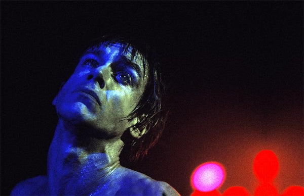 Iggy Pop, 1977