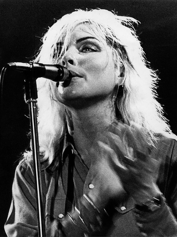 Blondie, 1978