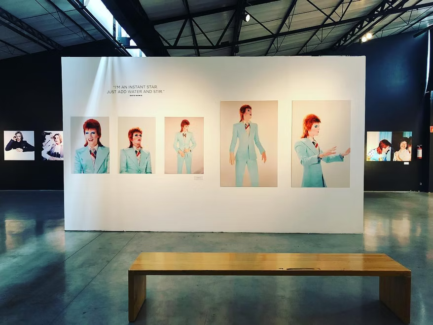 Bowie: The Rise of Ziggy Stardust