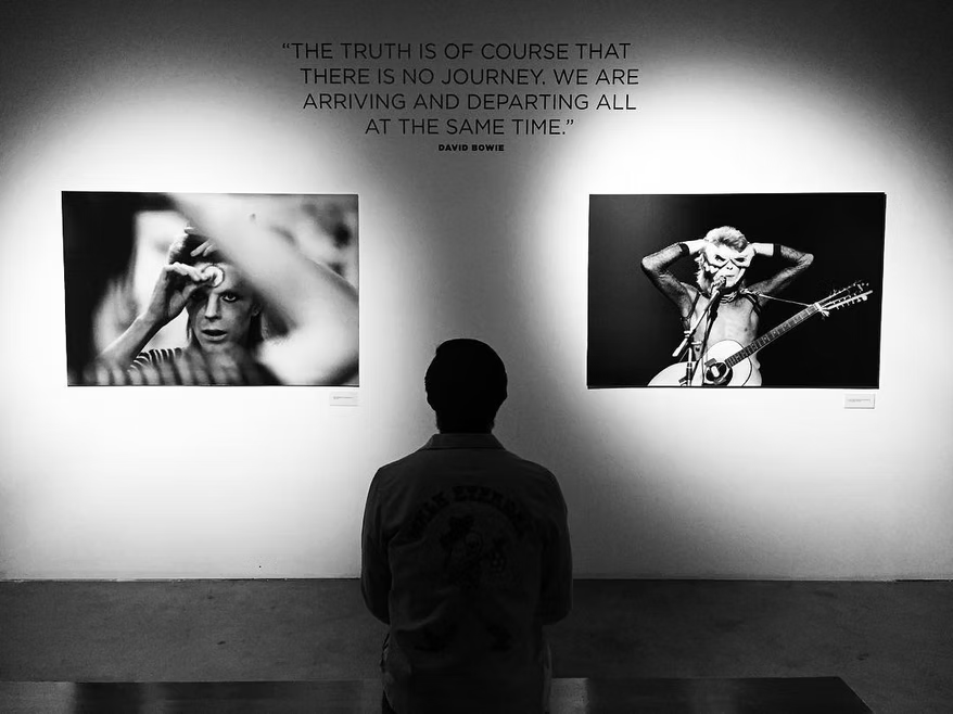 Bowie: The Rise of Ziggy Stardust