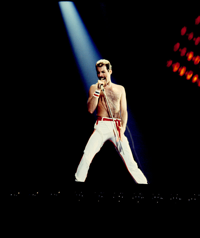 Freddie Mercury, Canada, 1982 (2)