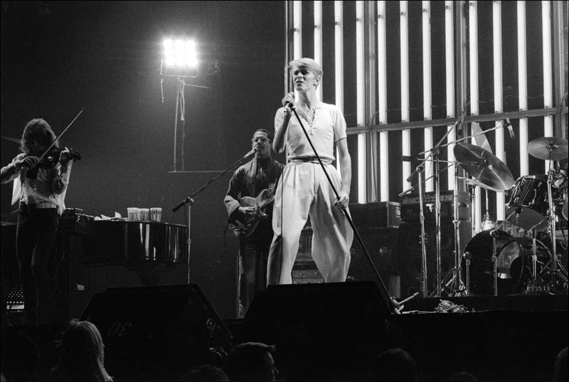 David Bowie performing live at Madison Square Garden, New York City, 1976. Black and white concert photograph by Allan Tannenbaum.
